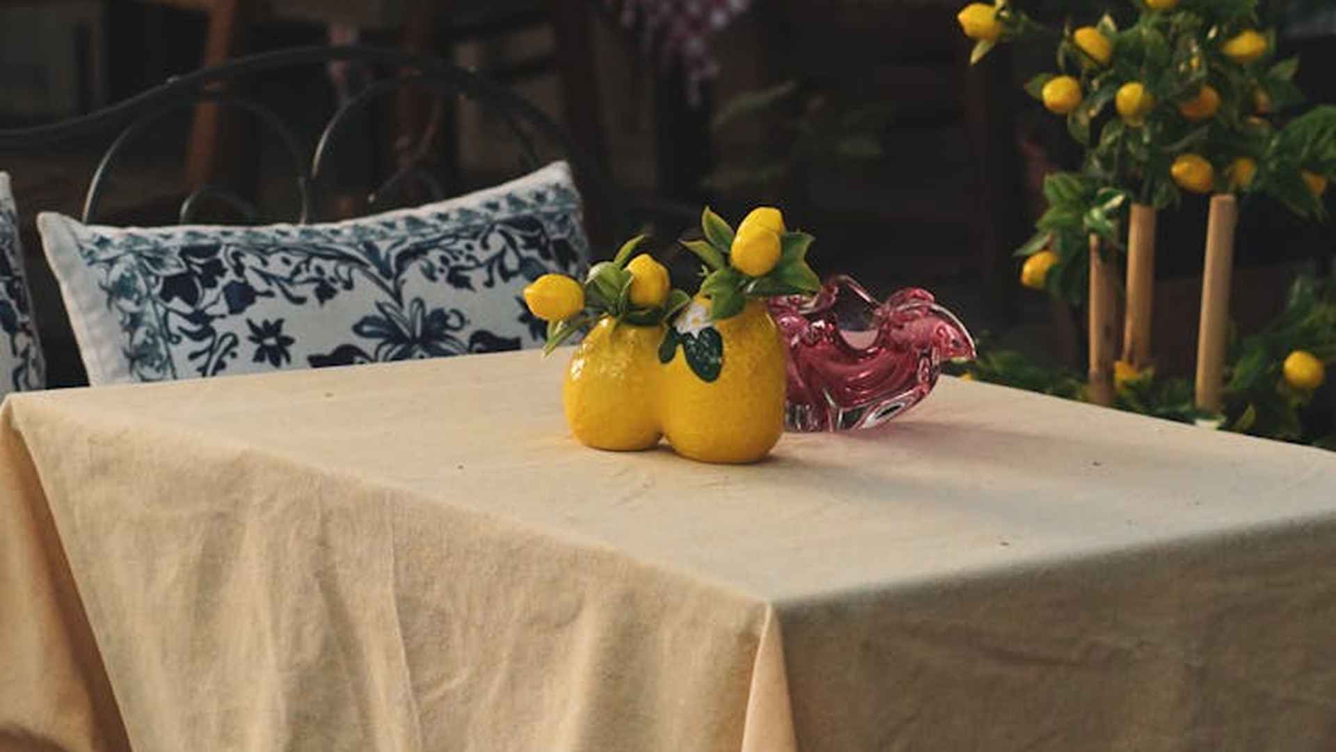 Cytryna w doniczce: Uprawa w domu, podlewanie i nawożenie
