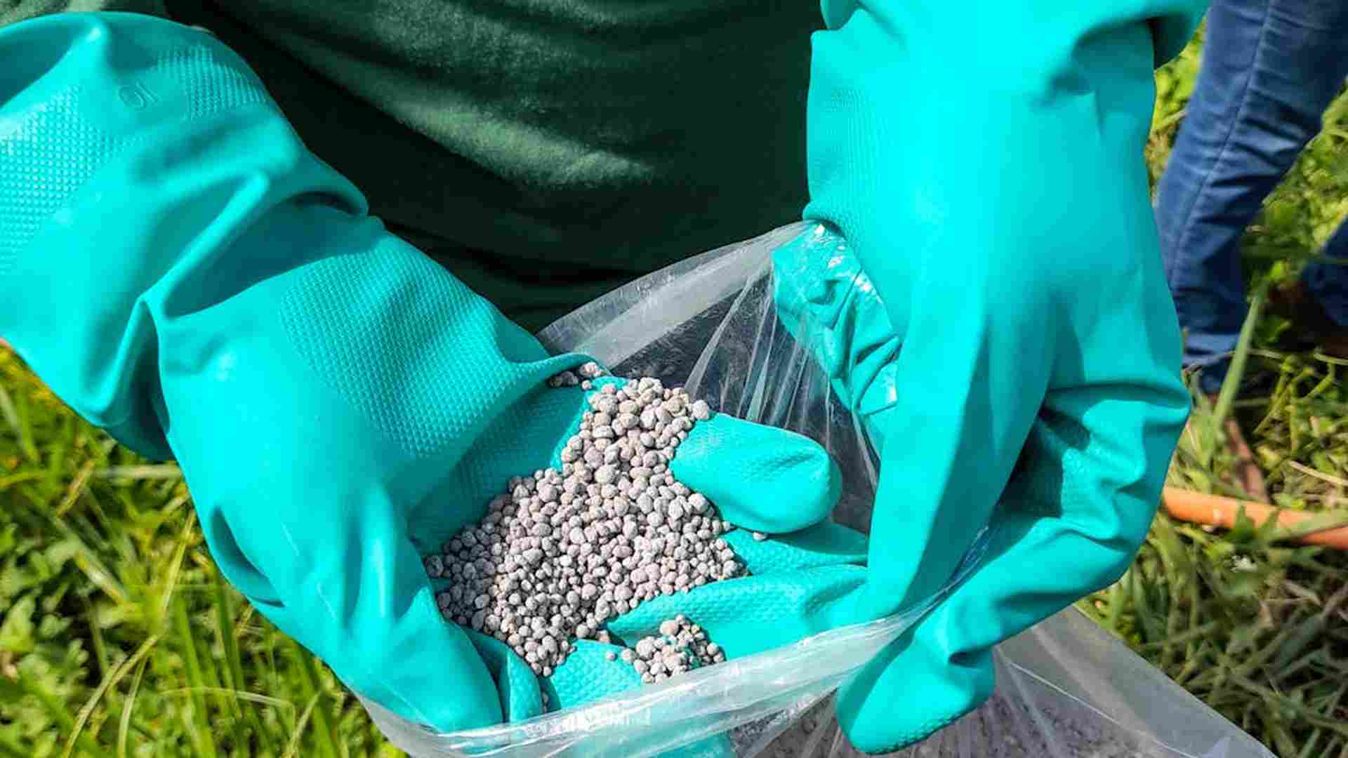 Najlepsza naturalna odżywka do trawnika - czym zasilić murawę bez chemii