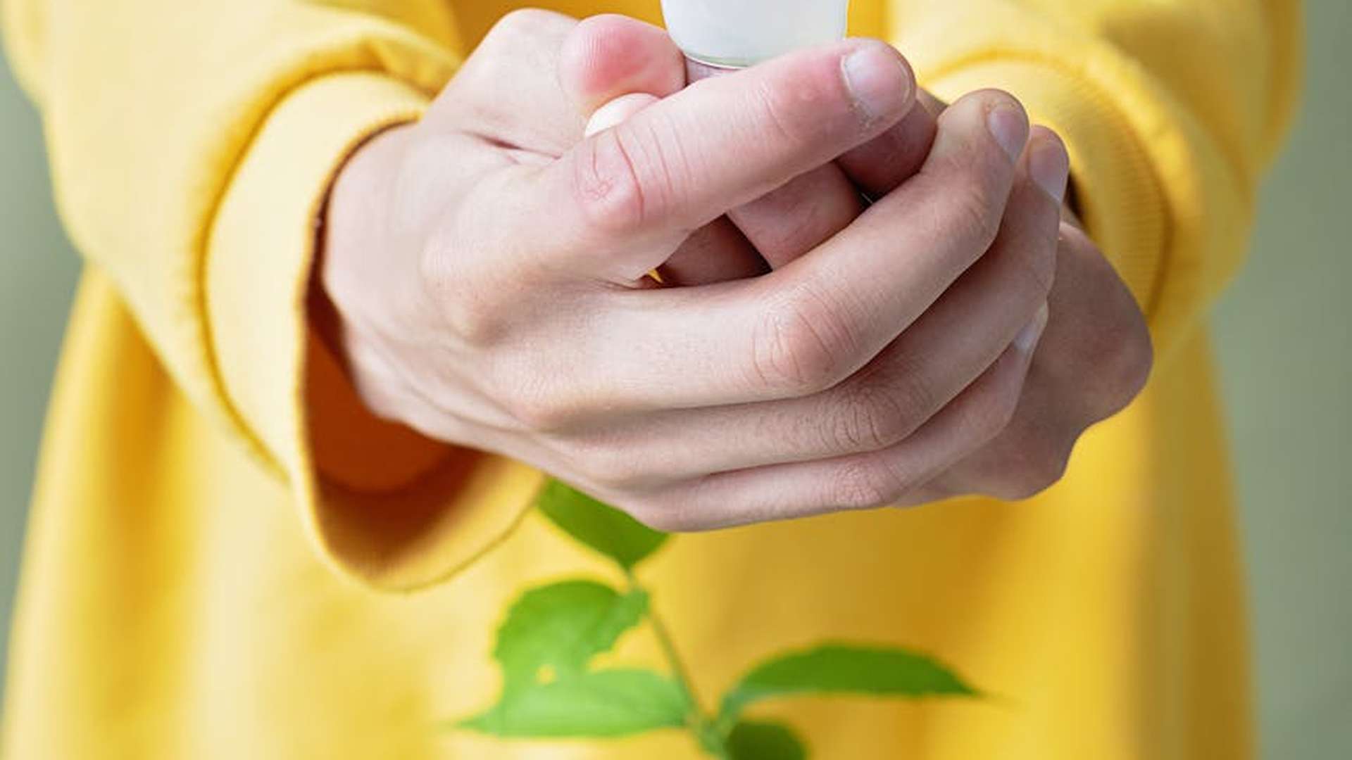 Rośliny, które przyciągają pozytywną energię - poznaj ich sekrety!