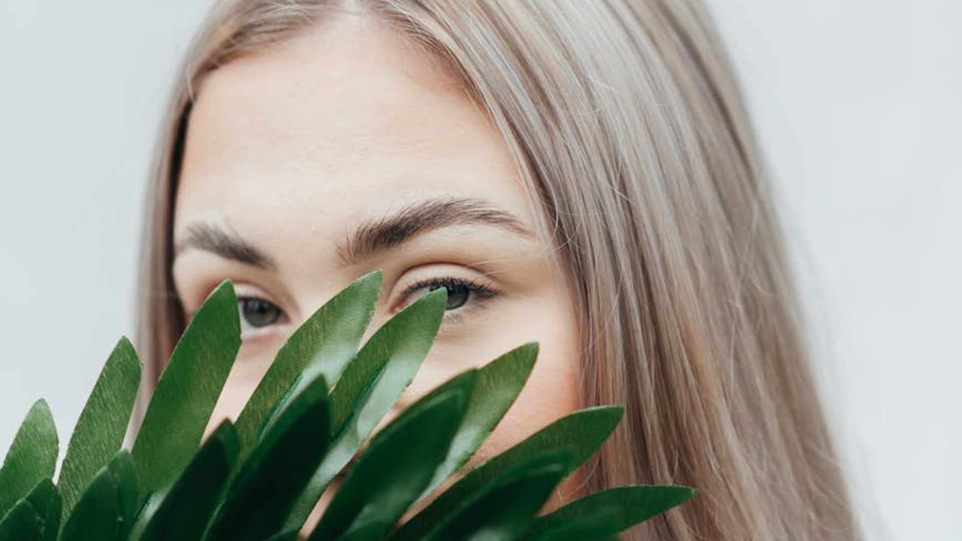 Sekretne życie Twoich roślin: Co skrywają przed Tobą?