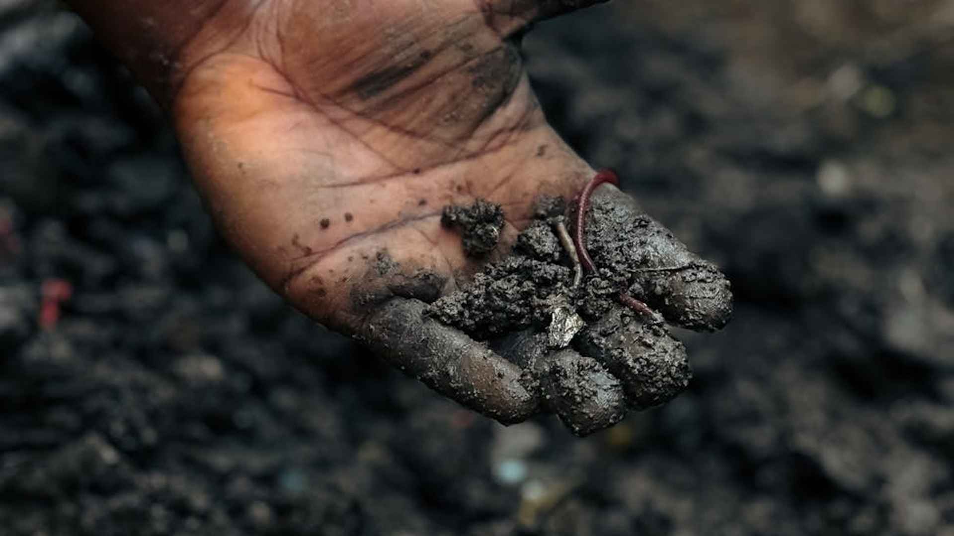 Szokujące! Co tak naprawdę kryje się w ziemi Twojego ogrodu?