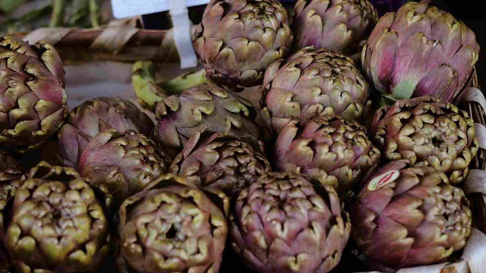 Uprawa karczocha krok po kroku