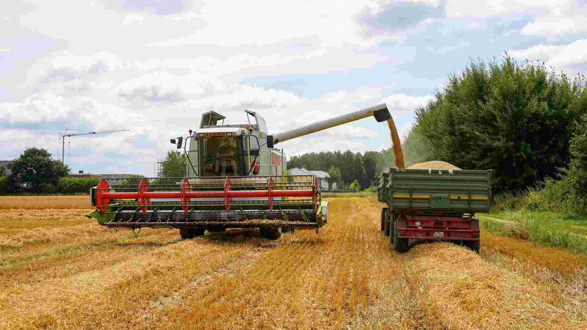 Wyjątkowy sposób na zwiększenie plonów, który znają tylko nieliczni!